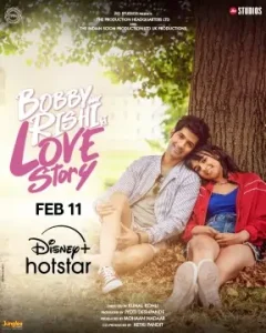 Bobby Aur Rishi Ki Love Story 2025 Bollywood Movie HD